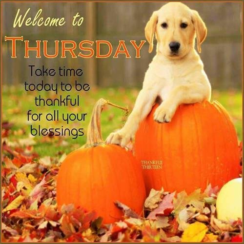 Tracy Leopold's album, Timeline Photos