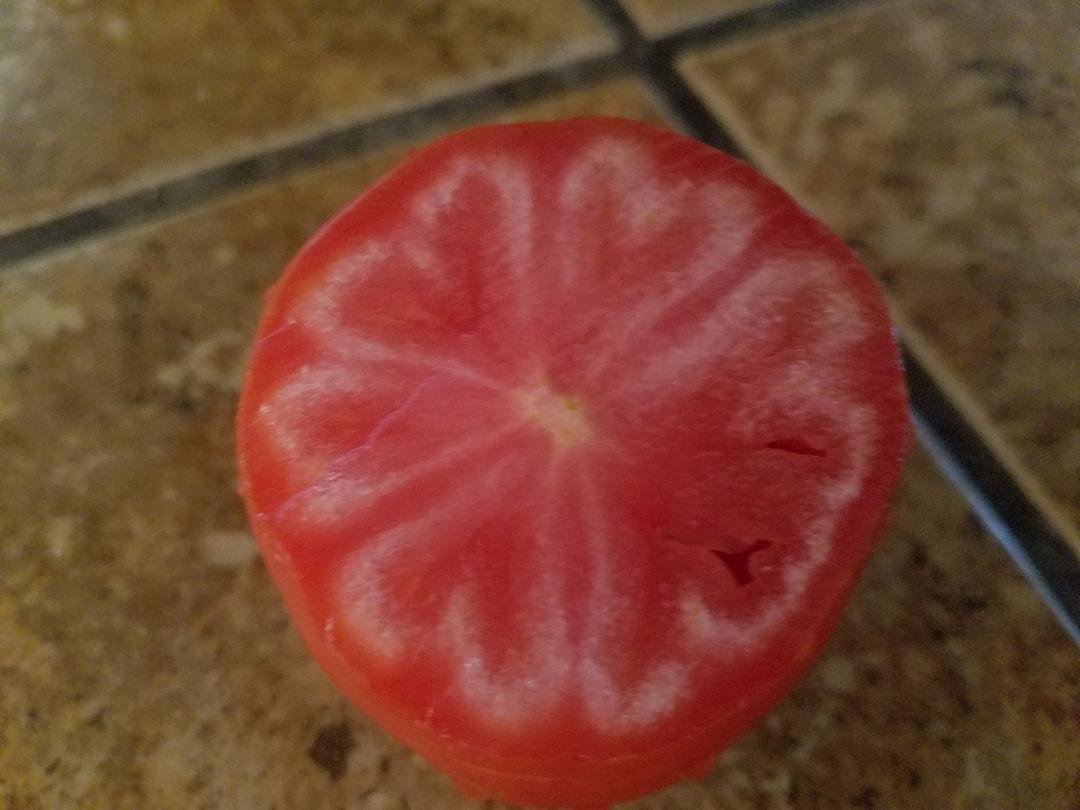Cut open this tomato today.........tomorrow is St. Patrick's Day!!