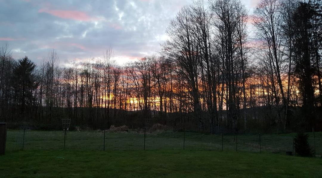 Sunday night sunset at the farm on the Wynoochee river.
