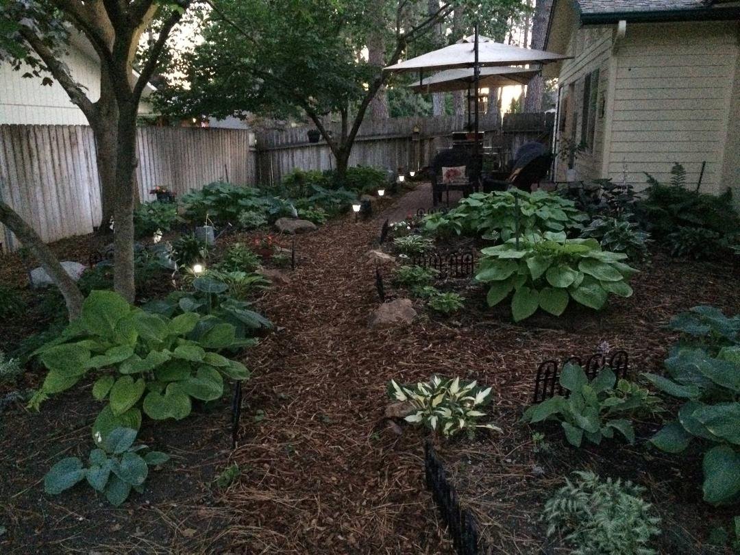 Backyard oasis.... Love it very relaxing!!!!