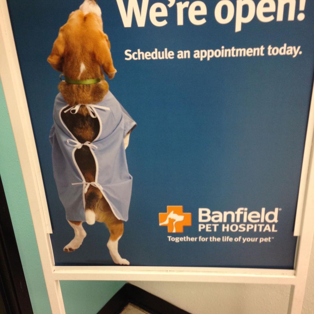 Saw this at vets when I took the dog in.