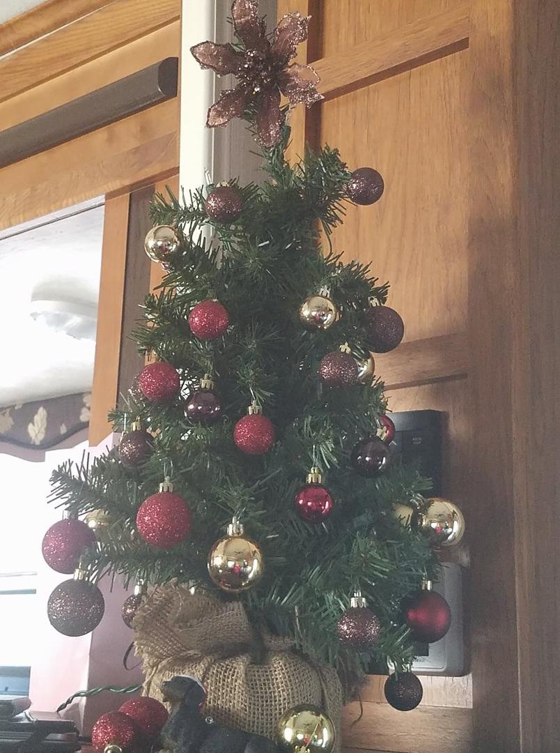Merry Christmas from our "rig" to yours!!!