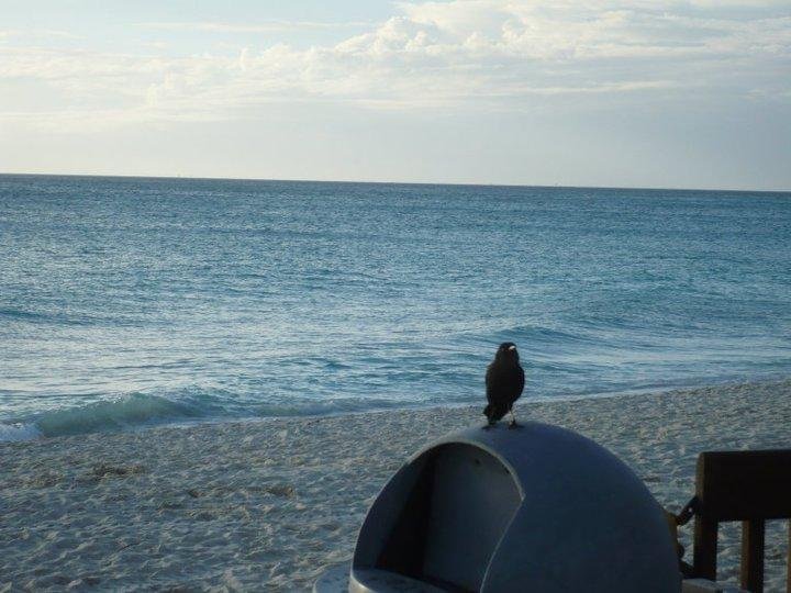 Our beach