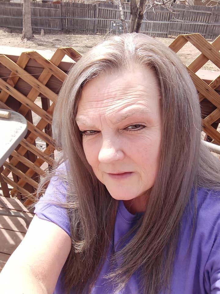 Traci Hess' album, Mobile Uploads