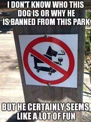 bad dog