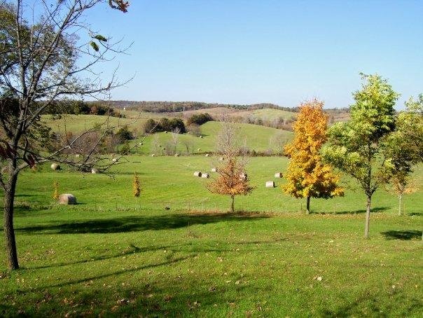 View to north from the house. It seems to sit on about an acre... about eight city lots. And right at the edge of town.