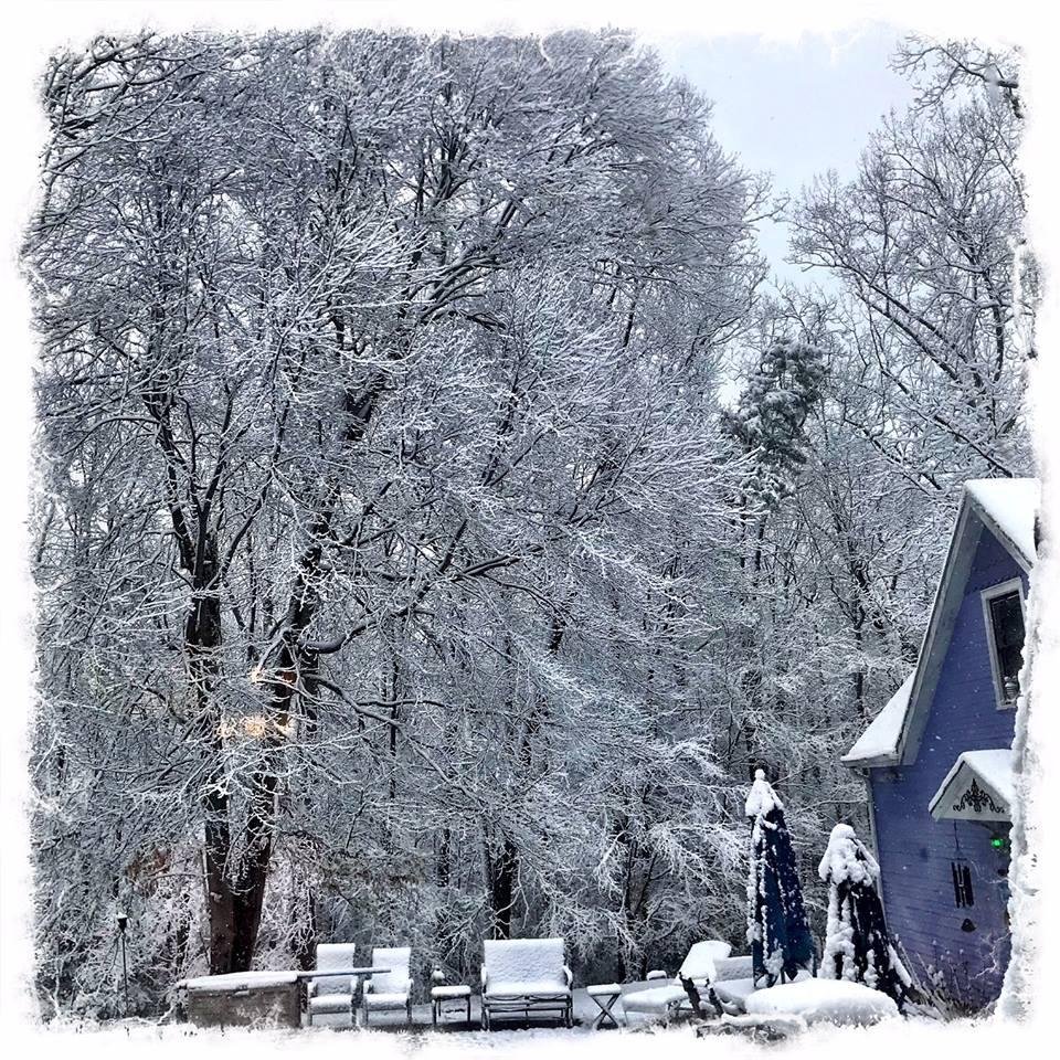 So, today is the first day of spring and how does my back yard look? Well, Paul took this photo this morning..and it's STILL snowing. We moved south to get AWAY from this stuff!!!