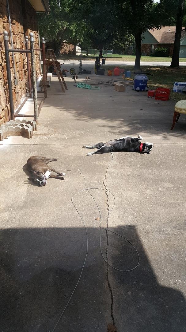 My barbies sunbathing!!!