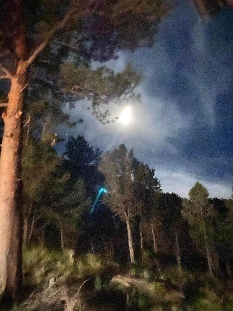 Last night’s moon!