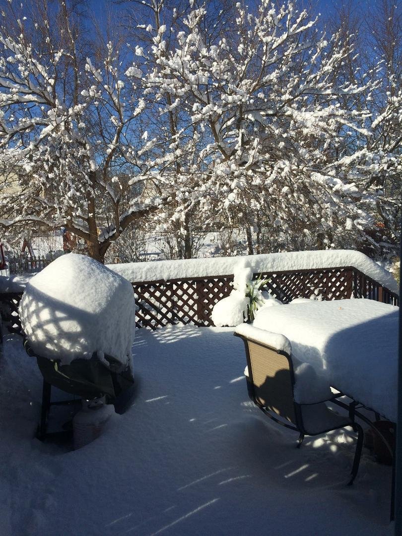 Debbie Anderson's album, Timeline Photos