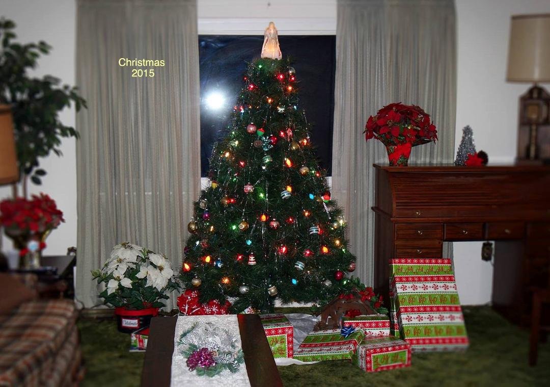 I never noticed that FB has a photo editor until my friend Dick Henthorn pointed it out to me and how to add text to the photo. Thanks, Dick! And I hope everyone had a very Merry Christmas!