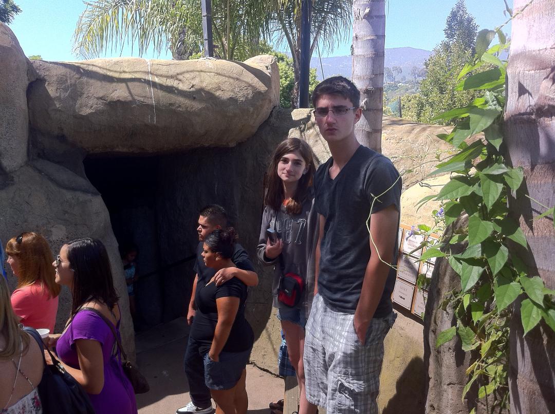 Watching the penguins
