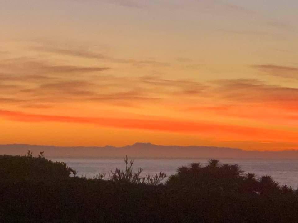 View from the end of our street... Okay, mostly up ladder four feet on highest sturdy branchI! That's Catalina on the horizon