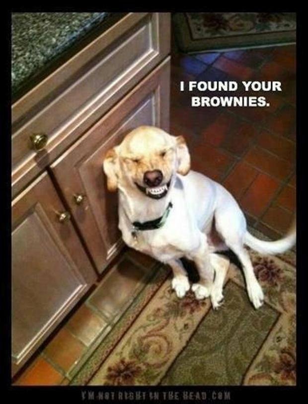 Jacki Russell's album, Timeline Photos