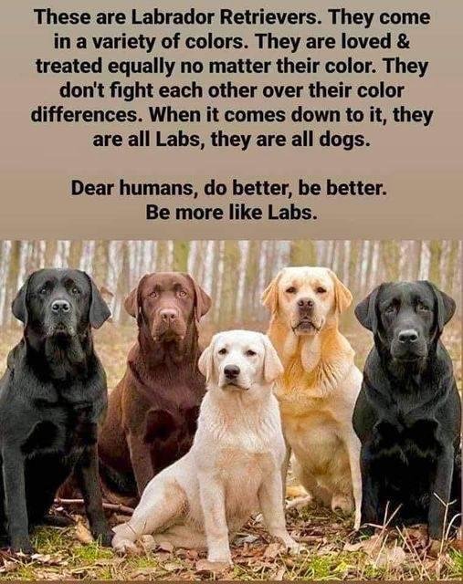 Copied from a friend