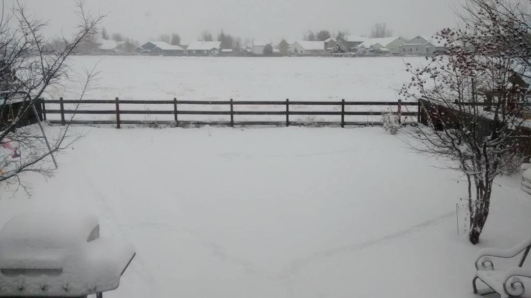 Friday morning woke up to 3-1.2" of snow and still falling. Took picture oout our back window. Hope everyone had a great Christmas!