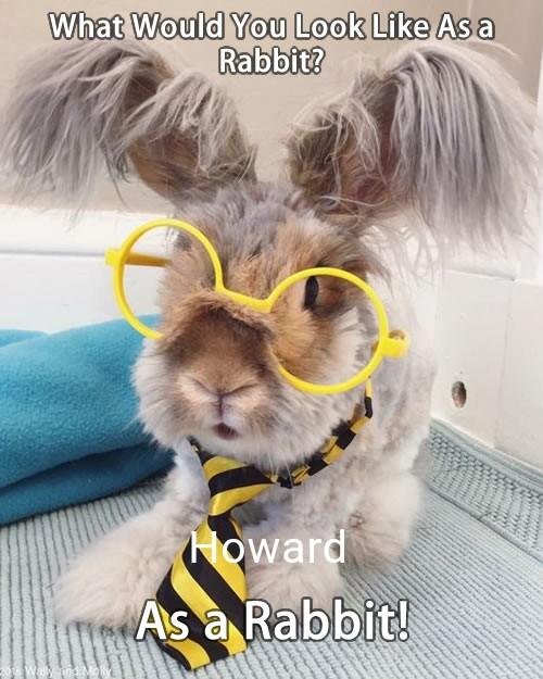 Howard Fistell's album, Timeline photos