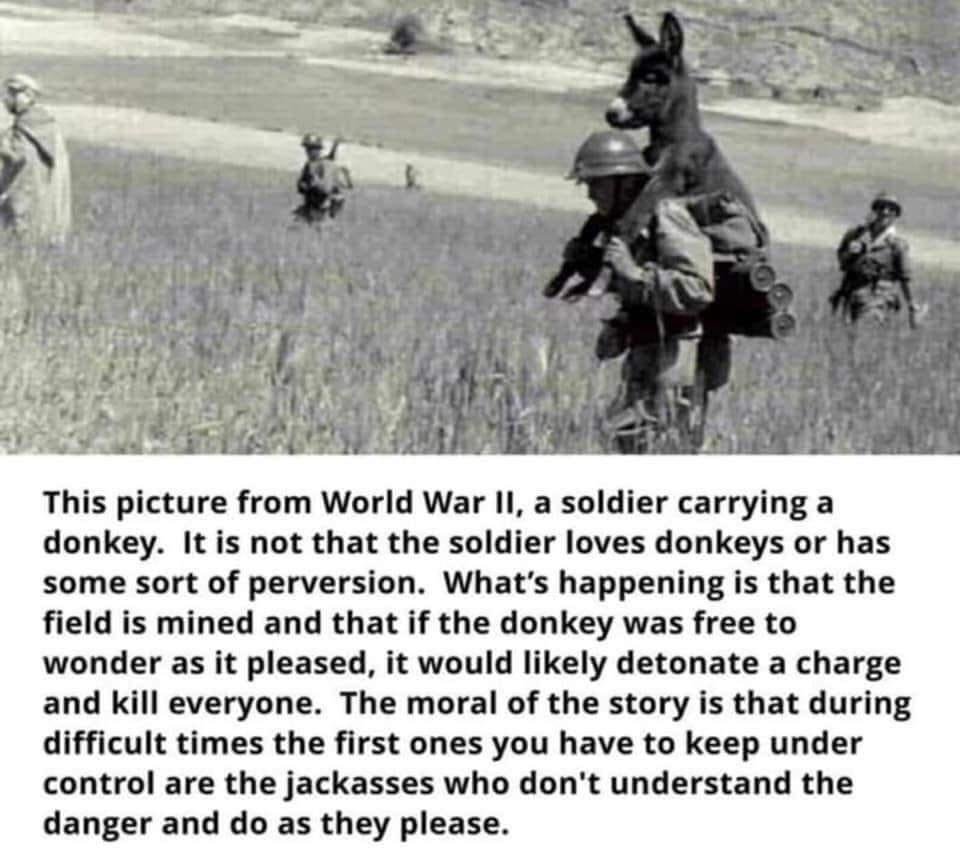 This made me think of the govenor New Yorks news conference today. Hadro raise the fine for not following social diatancing from 500 to $1000 because some asses are so stupid that they dont get it