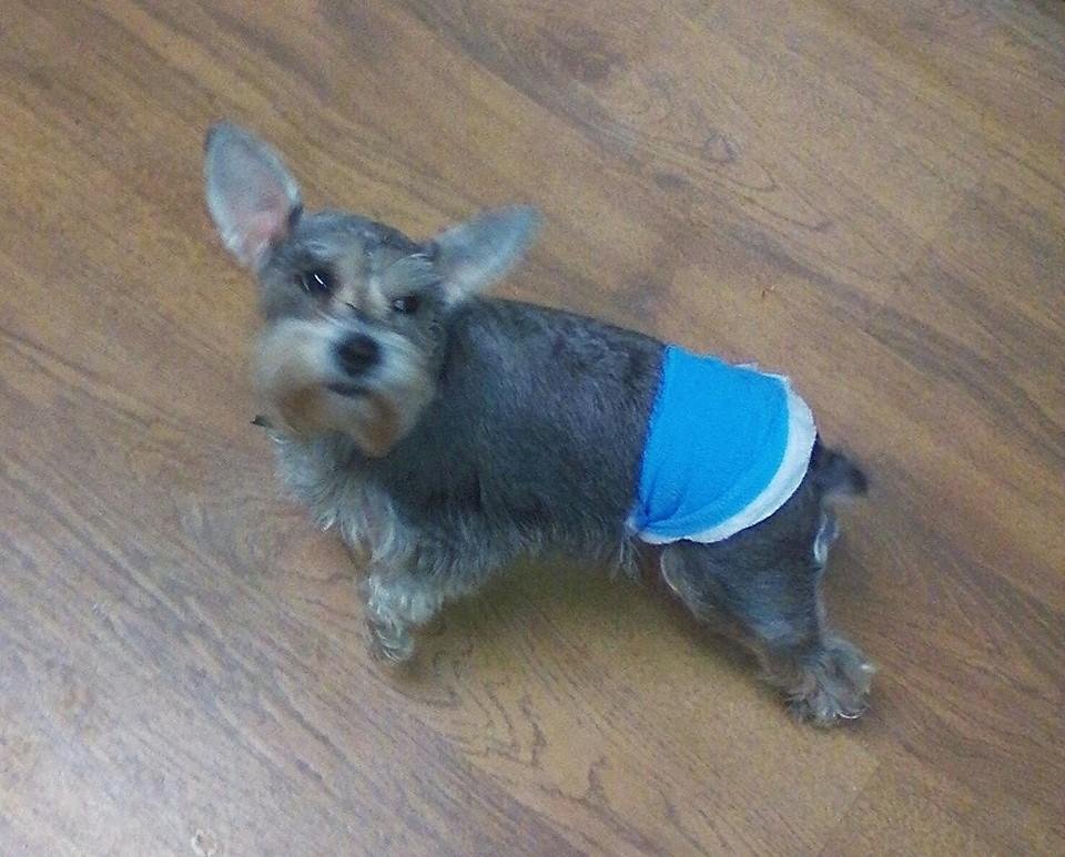 Pocket with her bandage