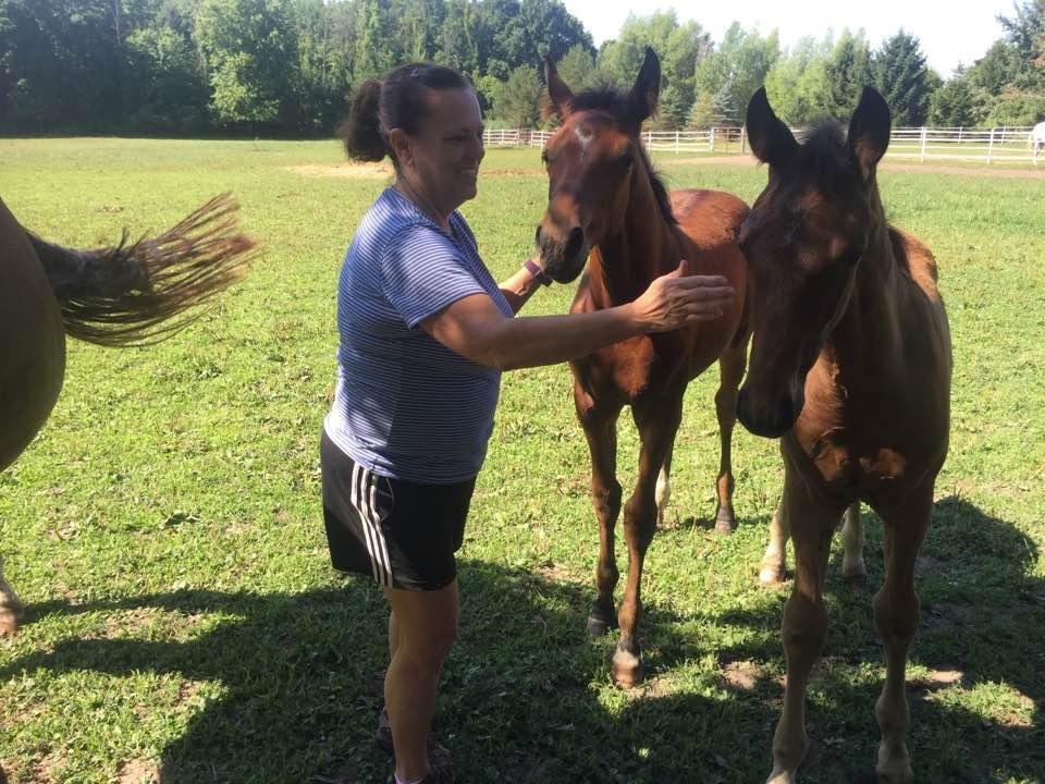 The two youngsters ready to go to the barn.  It's hot out here!