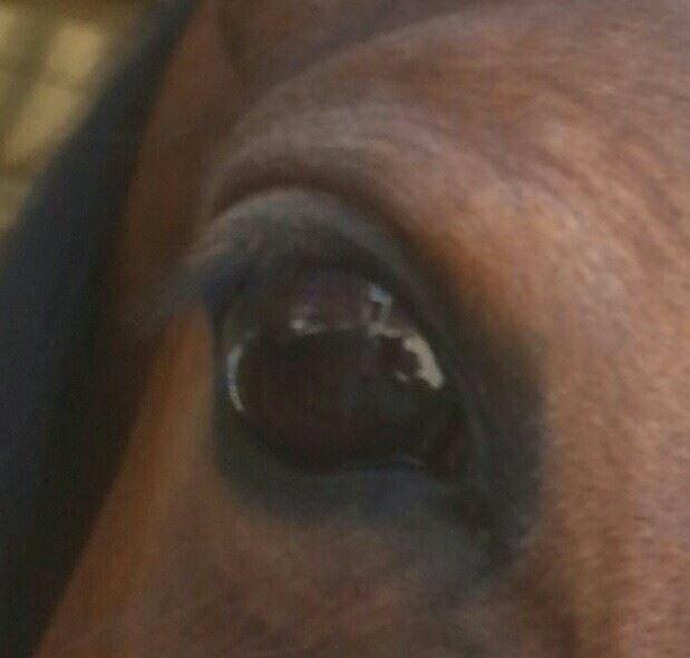 Lovely eye of an ANGEL