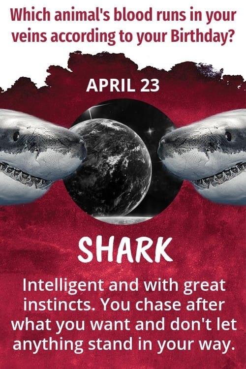 April Bloom's album, Timeline Photos