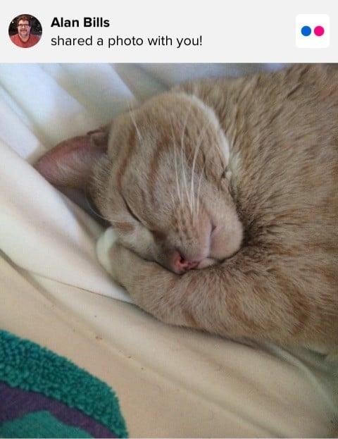 At his cutest.  Love you, Bubba.