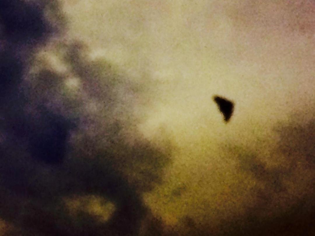 Chris Sharp's album, Mobile Uploads