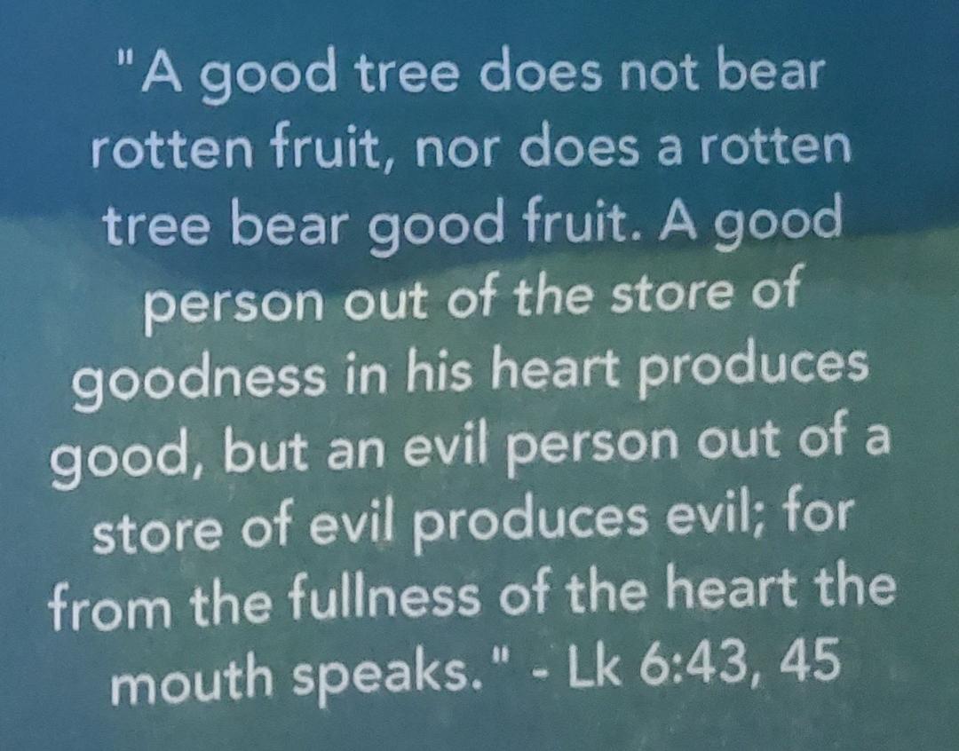 Lent starts this Wednesday. I am giving up social media for Lent so I can focus my time and attention on two defects of character and an aspect of my neurodivergence to change for the better. It's both my sacrifice and an a