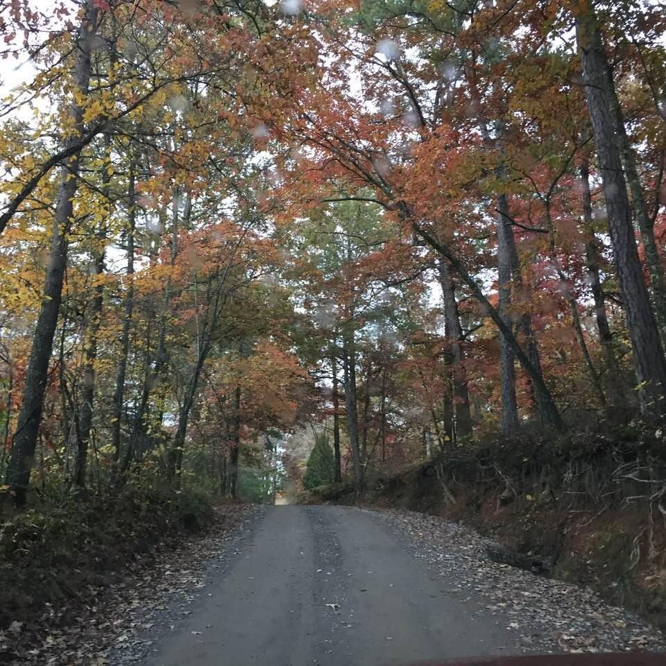 Finally the colors are changing. Fall is here in blue ridge