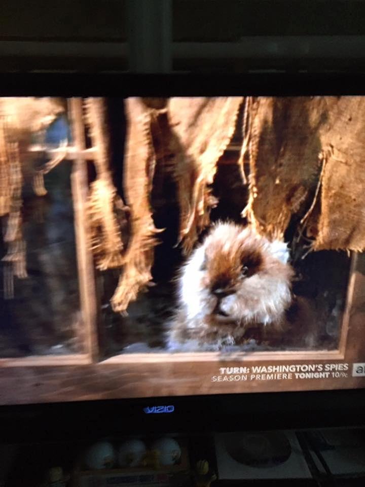 What am i watching