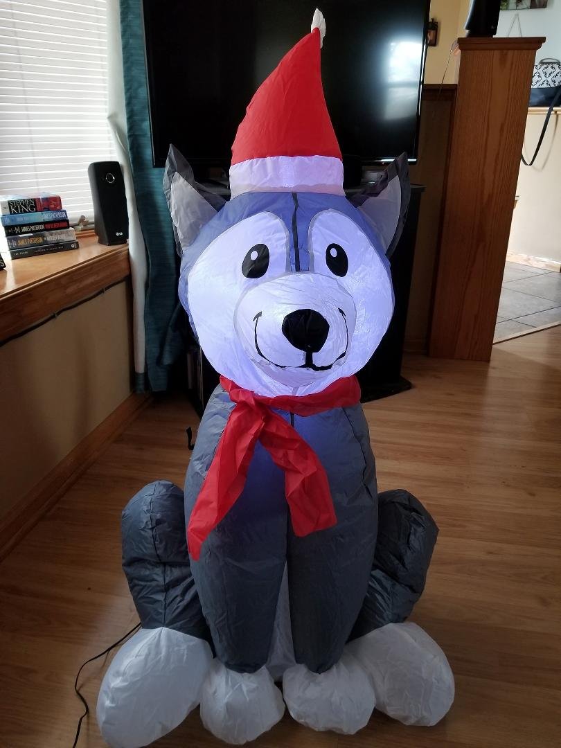 Meet the newest husky to our pack 😂
