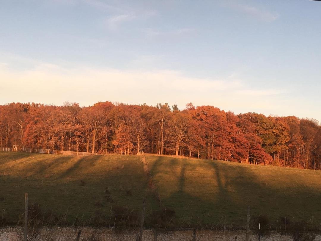 November evening off old 82 in West Taghkanic NY