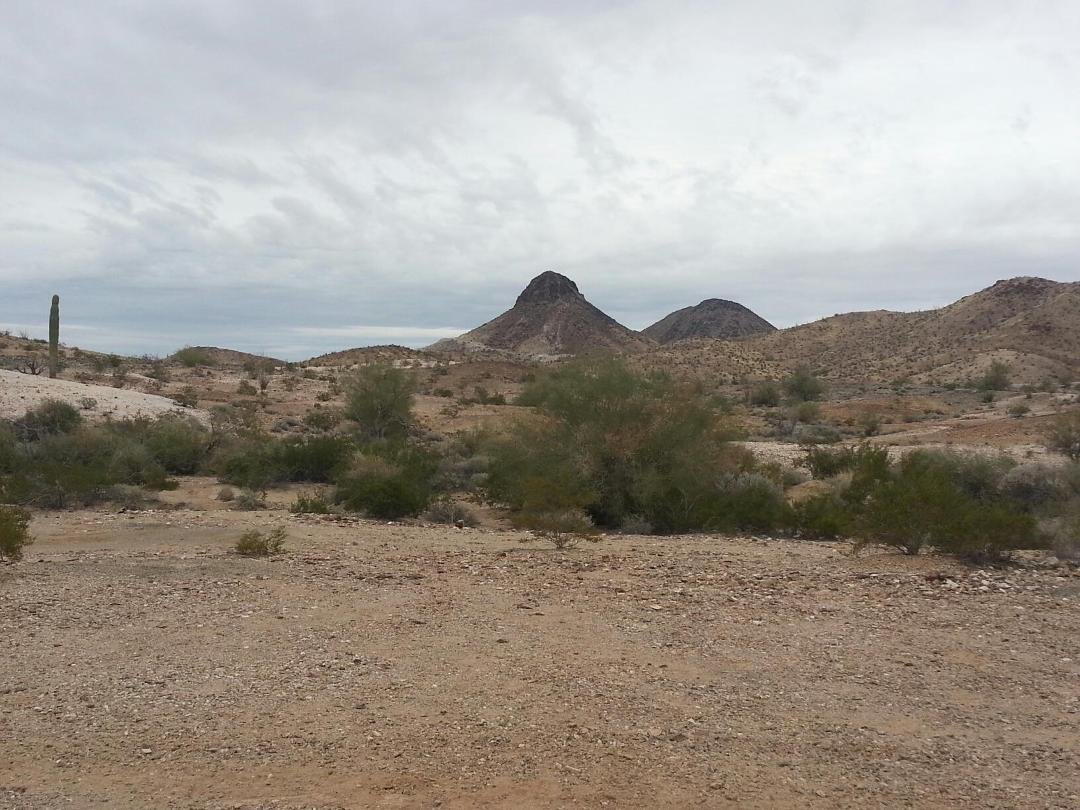 Our current front yard, and our friends in our camp.