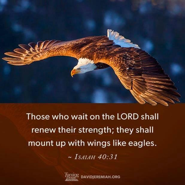 Please give a hardy welcome to our newest members: Eylon Mogilner, Roy Davis, Karen Woodward, Tammera Mcguire, Suzanne Castleman Koenig, Nancy Fournier