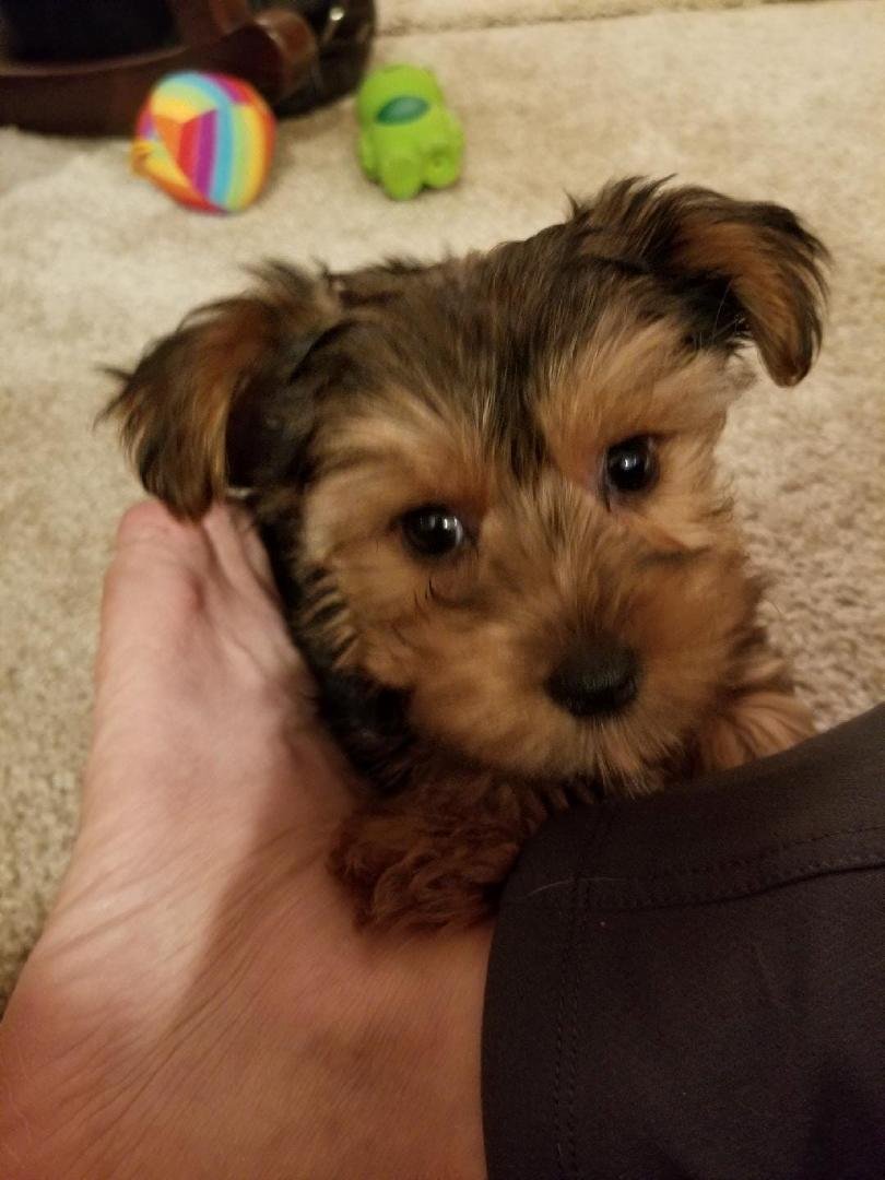 My newest grandchild