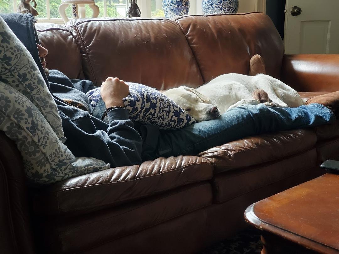 Just another lazy Sunday ...