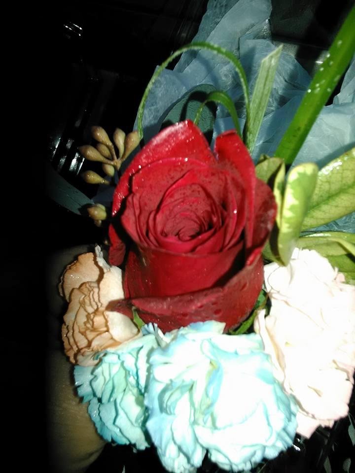 Nancy McKay's album, Mobile Uploads