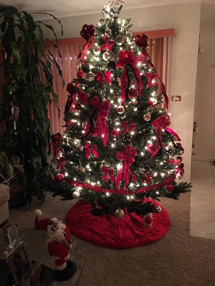 Driving home from the store last evening, I noticed how many folks have put up their Christmas trees and outside lights. Very festive and good to see. But..Christmas is so different now. I haven't even brought in my Christm