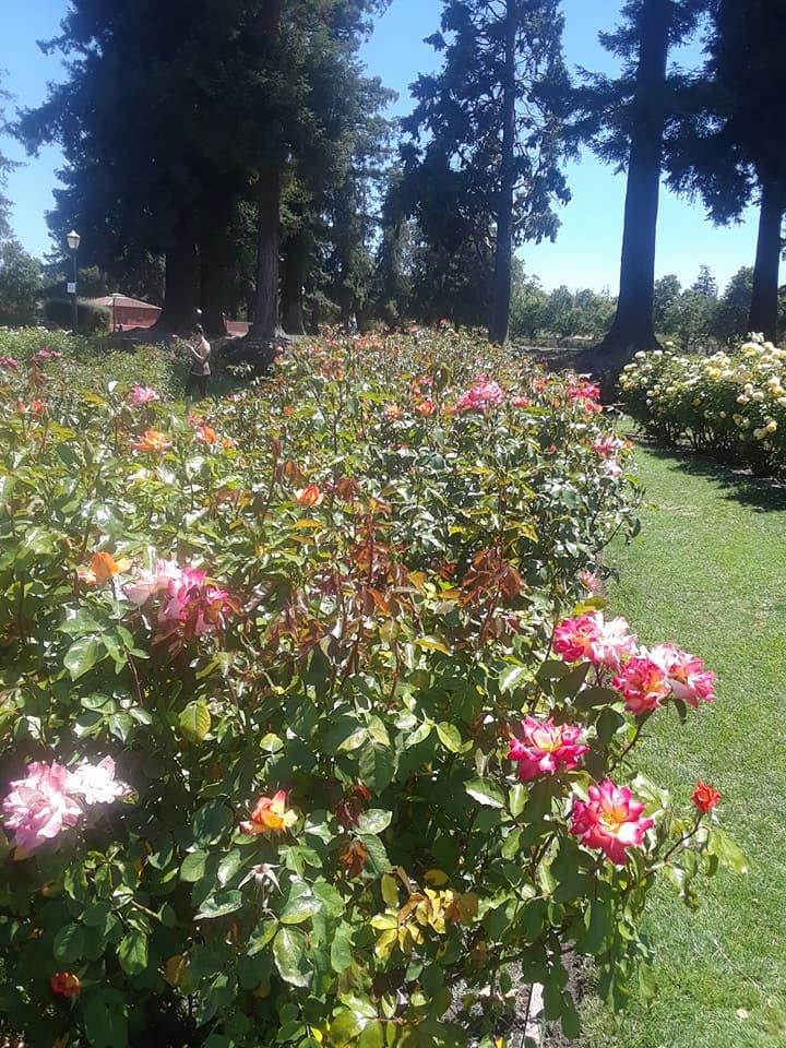 Abigail Aceves' album, Timeline Photos