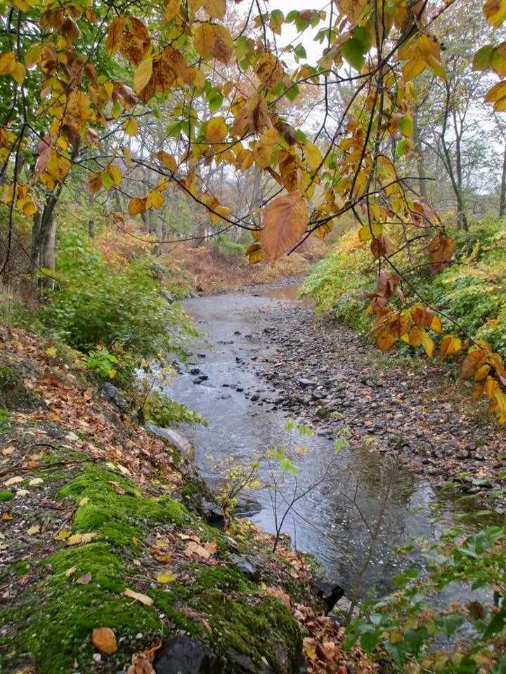 Fall in Little Falls,NJ ..Natural Splendor