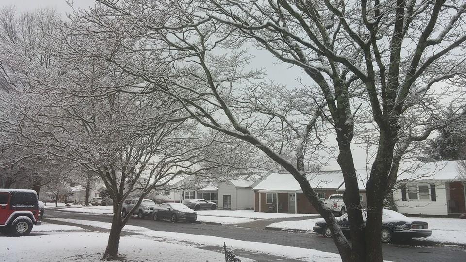 Cold but beautiful! These what i walked out to this morning, really missing home!
