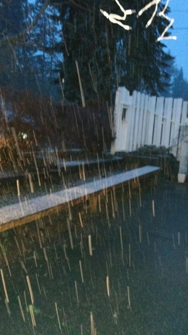 Let it snow!!! Welcome home Kirsten Colene!!!