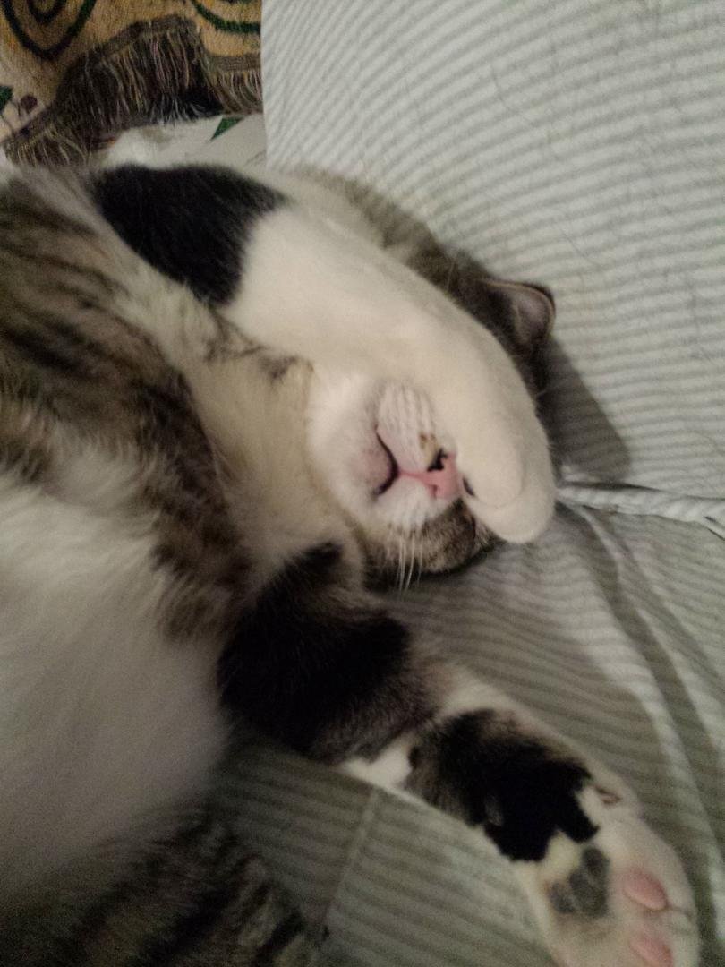 Is the day over yet?