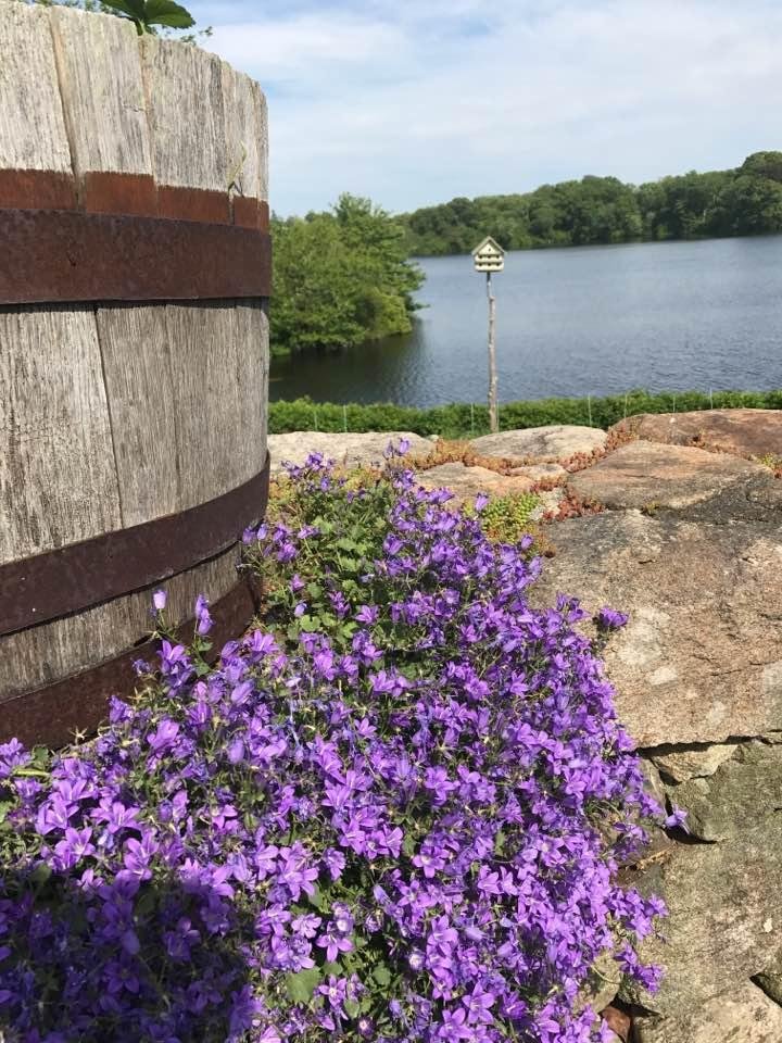 Suzanne Schutz's album, Timeline Photos