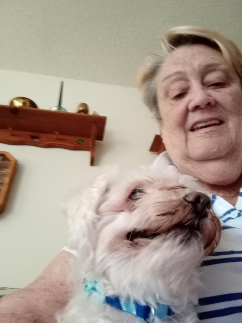 Last week I posted a picture of my baby and I celebrating our 15th Anniversary. Now I have to tell all that Kícsi passed away Sunday. I loved that cutie pie and will really miss him. He followed me everywhere, sat by me eve