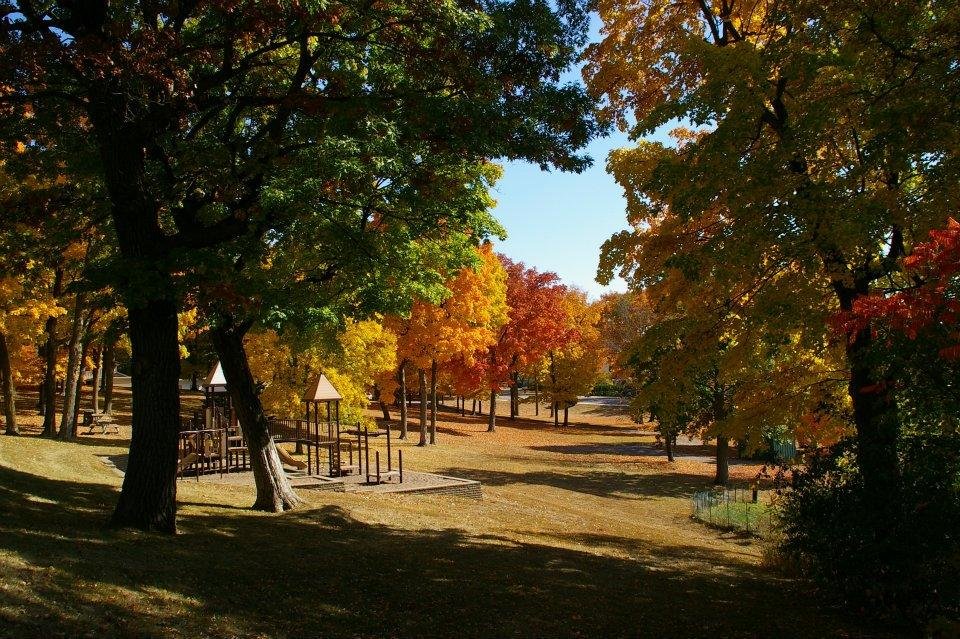 Edwin Pelot's album, Fall 2011