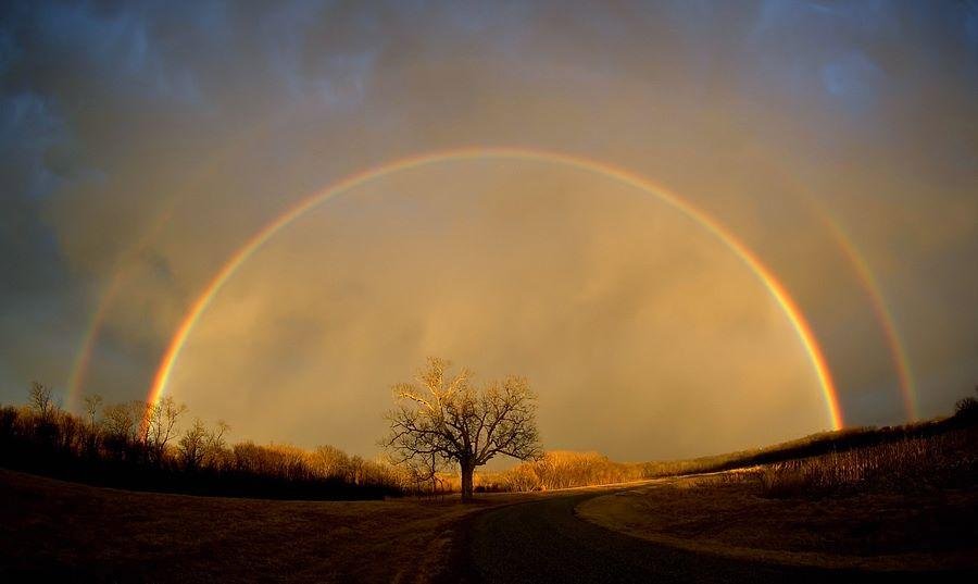 The saying below is oh so true. May the picture place a special ray of hope in each of your lives.  
 As we grow up, we learn that even the one person that wasn't supposed to ever let you down probably will. You will have y