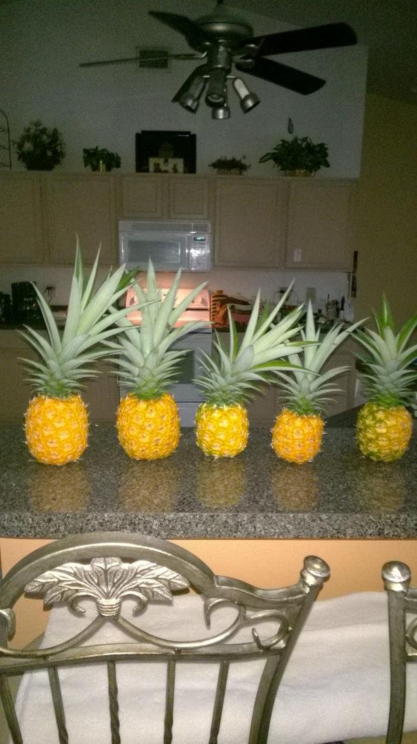 Never had so many at once 😃😁😎
