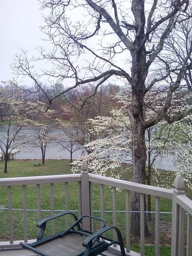 Well, its a beautiful Spring day up on the Cumberland Plateau and now they tell me that its expected to SNOW tomorrow morning. Thank you Lord